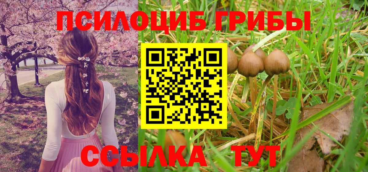 Осинники  Галлюциногенные грибы Magic Shrooms  Галлюциногенные грибы мицелий  хочу   Вход с VPN 