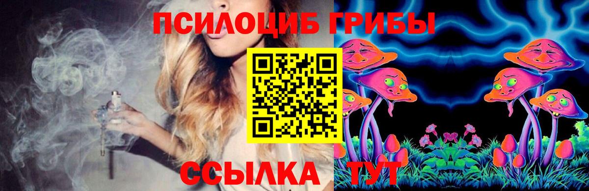 Псилоцибиновые грибы Psilocybine cubensis Осинники
