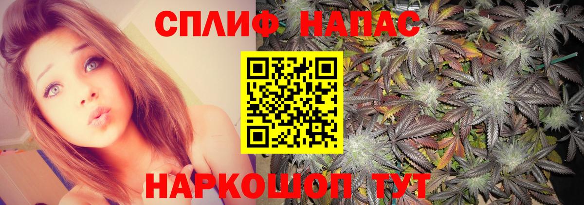 Осинники  МАРИХУАНА конопля  Канабис SATIVA & INDICA  Вход с VPN  Конопля OG Kush 